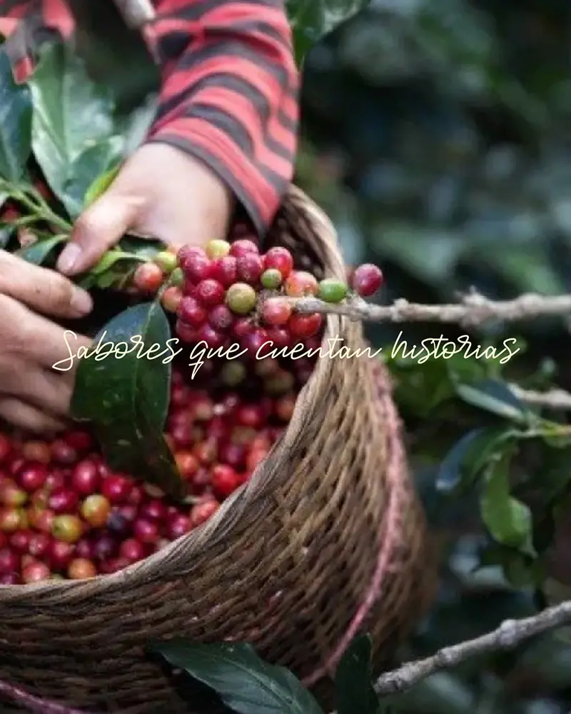 nw_GuateSpirits_Header_IG_Sabores&Historias